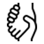 Filantropía