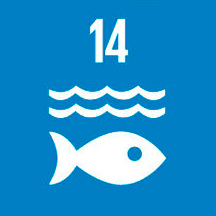 Vida Submarina