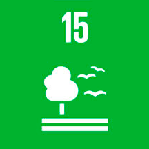 Vida de Ecosistemas Terrestres